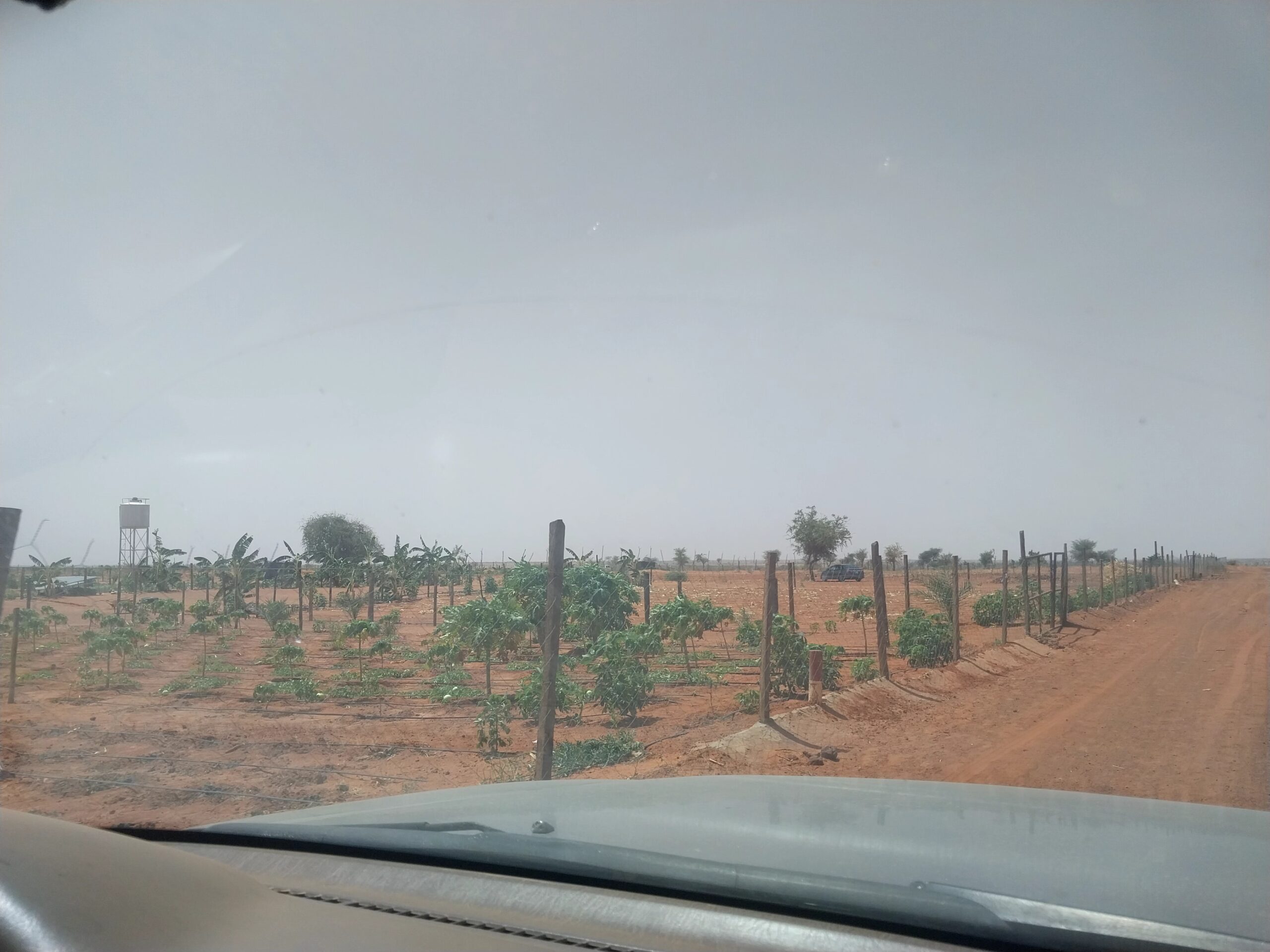 Démarrer un jardin sur votre terrain ?